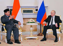 Presiden Prabowo Subianto dan Presiden Rusia Vladimir Putin (kanan) bertemu dalam rangkaian kunjungan Presiden RI di Istana Konstantine Novsky, St. Petersburg, Rusia, Kamis (19/6/2025). dok. Sekretariat Presiden. Indonesia-Rusia Matangkan Studi Reaktor Nuklir Modular 500 Megawatt