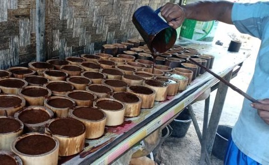 Potensi produksi nira gula sawit bisa mencapai sekitar 1,5 hingga 1,9 juta kiloliter per tahun, dengan nilai pasar sekitar Rp3 triliun Produksi Nira Gula Sawit Berpotensi Hasilkan Rp3 Triliun per Tahun
