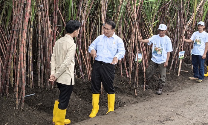 Menteri Pertanian (Mentan) Andi Amran Sulaiman dalam kunjungannya pada acara panen raya dan penanaman tebu di Kebun Tebu Jolondoro, Banyuwangi, Jawa Timur, Senin (23/6/2025) Mentan Lakukan Pembenahan Total untuk Akselerasi Swasembada Gula