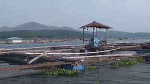 Menteri Kelautan dan Perikanan, Sakti Wahyu Trenggono mengingatkan ikan dari Waduk Cirata tidak layak konsumsi, karena tingginya kandungan merkuri. Dok. iNews. Bahaya Merkuri, Menteri KP Ingatkan Ikan Waduk Cirata Tidak Layak
