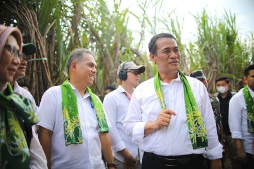 Menteri Pertanian (Mentan) Andi Amran Sulaiman saat menyaksikan panen tebu di Jawa Timur belum lama ini.(Foto: Istimewa) Pabrik Gula akan Dilibatkan Sebagai Penjamin Kredit Petani Tebu