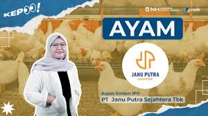 PT Janu Putra Sejahtera Tbk.(AYAM) Janu Putra (AYAM) Gunakan Dana IPO Untuk Lunasi Utang dan Modal Kerja