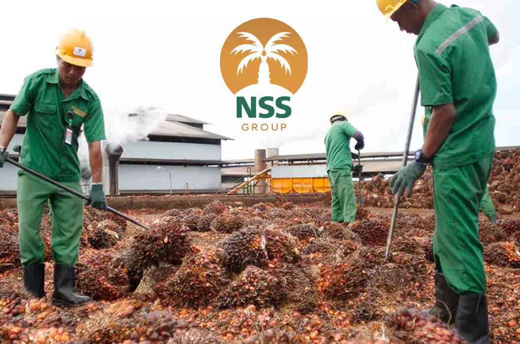 Sejumlah pekerja tengah memilah tandan buah segar sebelum masuk penggilingan. FoTO - ISTIMEWA Diskon! CEO Ini Serok Puluhan Juta Saham NSSS