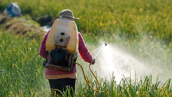 Dalam rangka mewujudkan swasembada pangan dan hilirisasi industri, Kemenperin terus mendorong penguatan sektor kimia, khususnya industri pestisida Kebutuhan Masih Tinggi; Impor Produk Pestisida Capai 87.350 Ton