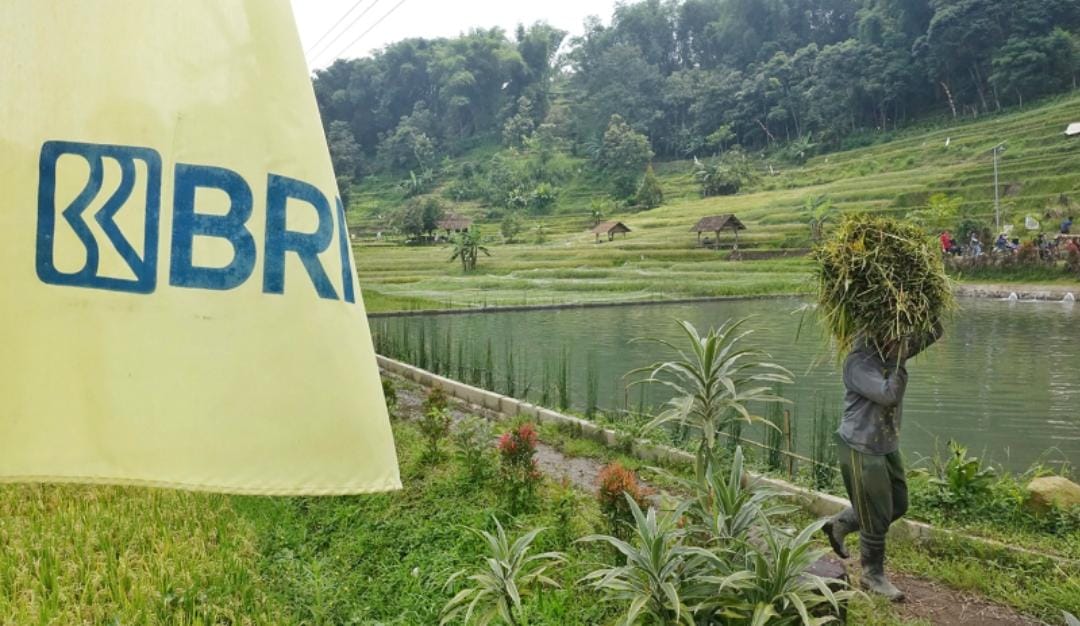 KUR BRI Telah Terkucur Rp83,88 Triliun, Mayoritas ke Sektor Pertanian