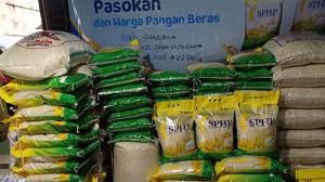 Atasi Beras Oplosan, Pemerintah Hanya akan Izinkan Dua Jenis Beras