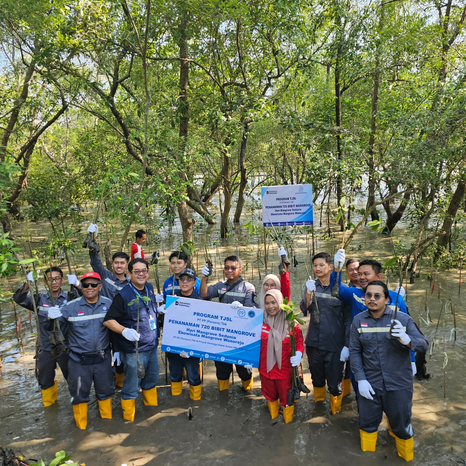 Peringati 2 Hari Penting, PTPP Tanam 720 Bibit Mangrove di Surabaya