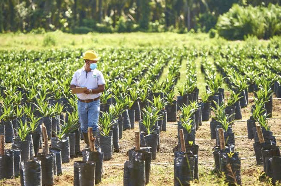 Banderol Bunga Menarik, PALM Jajakan Obligasi Rp420 Miliar