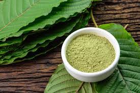 Ilustrasi tepung kratom. Dok. Berita Borneo. Kaji Aspek Hukum, Pemerintah Pelajari Kemungkinan Revisi Ekspor Kratom