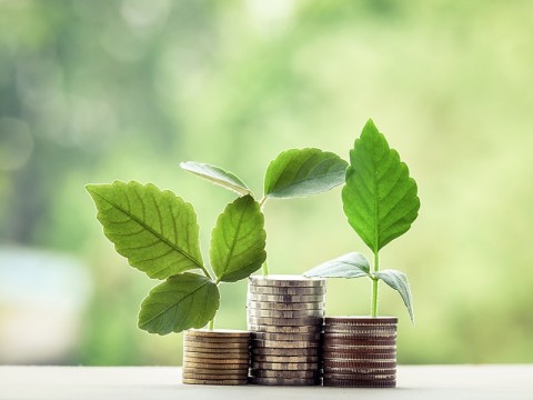 Bank Indonesia (BI) mencatat investasi langsung membukukan peningkatan surplus dibandingkan triwulan I 2025 Investasi Langsung Surplus, Investasi Portofolio Defisit