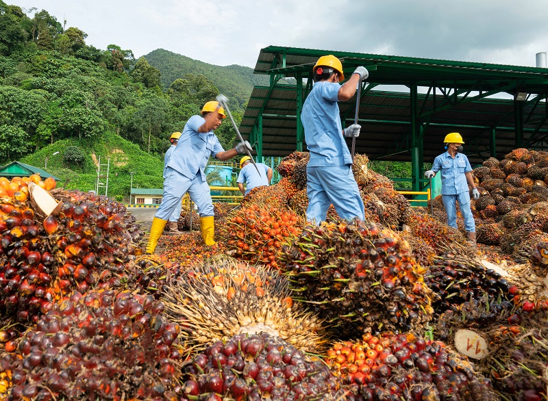 Tender Wajib, Pengendali Baru ANJT Siapkan Rp376,46 Miliar