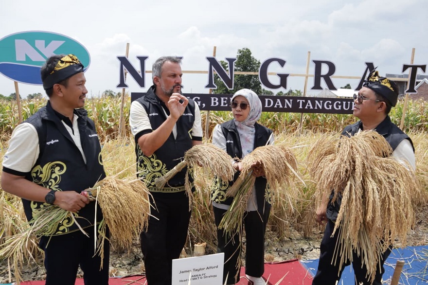Syngenta Indonesia meluncurkan benih padi hibrida Ningrat (NK2133), sebuah inovasi yang dikembangkan khusus untuk mendukung peningkatan produktivitas padi dan swasembada beras nasional. Peluncuran ini dilakukan di Pasuruan, Jawa Timur, pada 28 Agustus sebagai respons strategis terhadap kebutuhan beras nasional yang terus meningkat. Syngenta Luncurkan Benih Padi Ningrat NK2133, Produktivitas Naik!