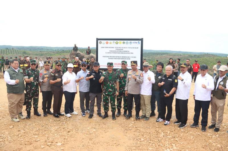 Catat! Satgas PKH Juga Fokus Tagih Denda Perusahaan Penambang Ilegal