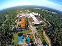 Kinerja Cemerlang: Laba CBUT Melesat Lebih dari 89% di Semester I-2025