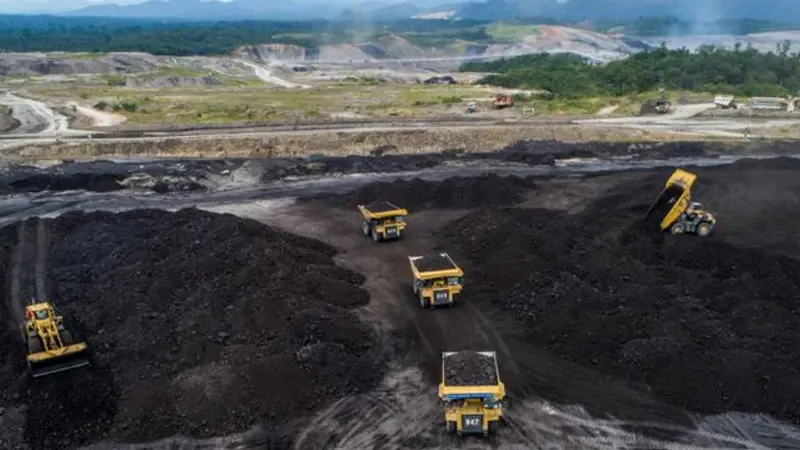 Operasi Akhir 2025, ADMR Kebut Proyek Smelter Aluminium
