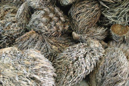 Tandan kosong sawit (Foto : Blog Tankossawit) Kemenperin Kembangkan Bioethanol Berbahan Baku Limbah Sawit