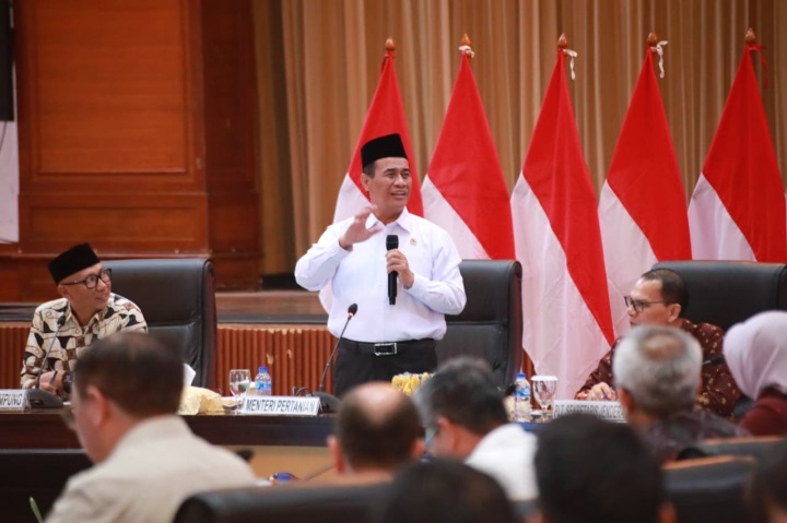 Kementan Siapkan Larangan Terbatas Impor Ubi dan Turunannya