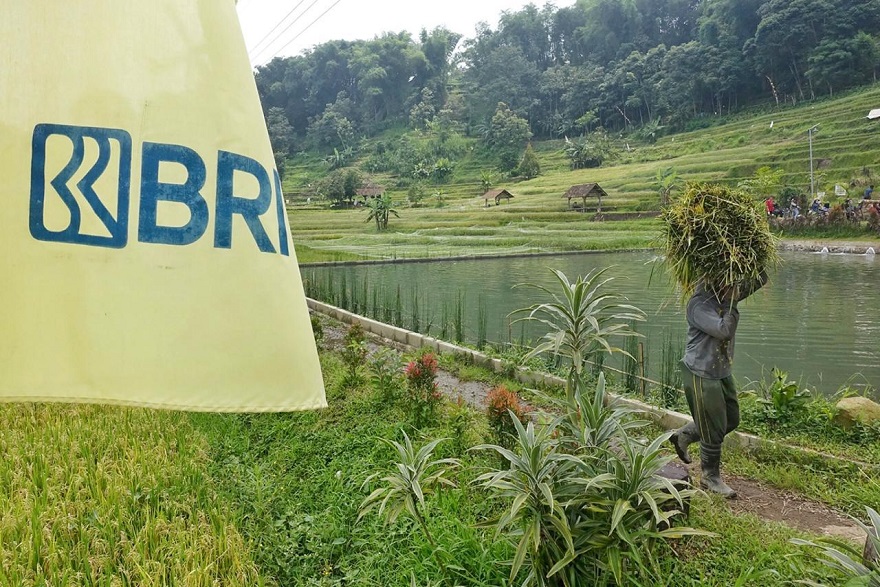 Hari Tani Nasional, BRI Genjot Dukungan ke Sektor Pertanian