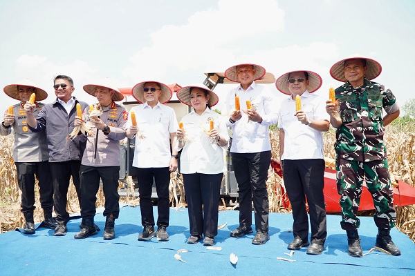 Target Stok Jagung Nasional Akhir 2025 Minimal 60 Ribu Ton
