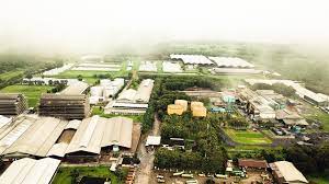 PNGO Bagikan Dividen Interim Rp130 Per Saham, Yield 5,35%