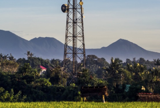 BALI Injeksi Entitas Usaha Rp100 M, Telisik Peruntukannya