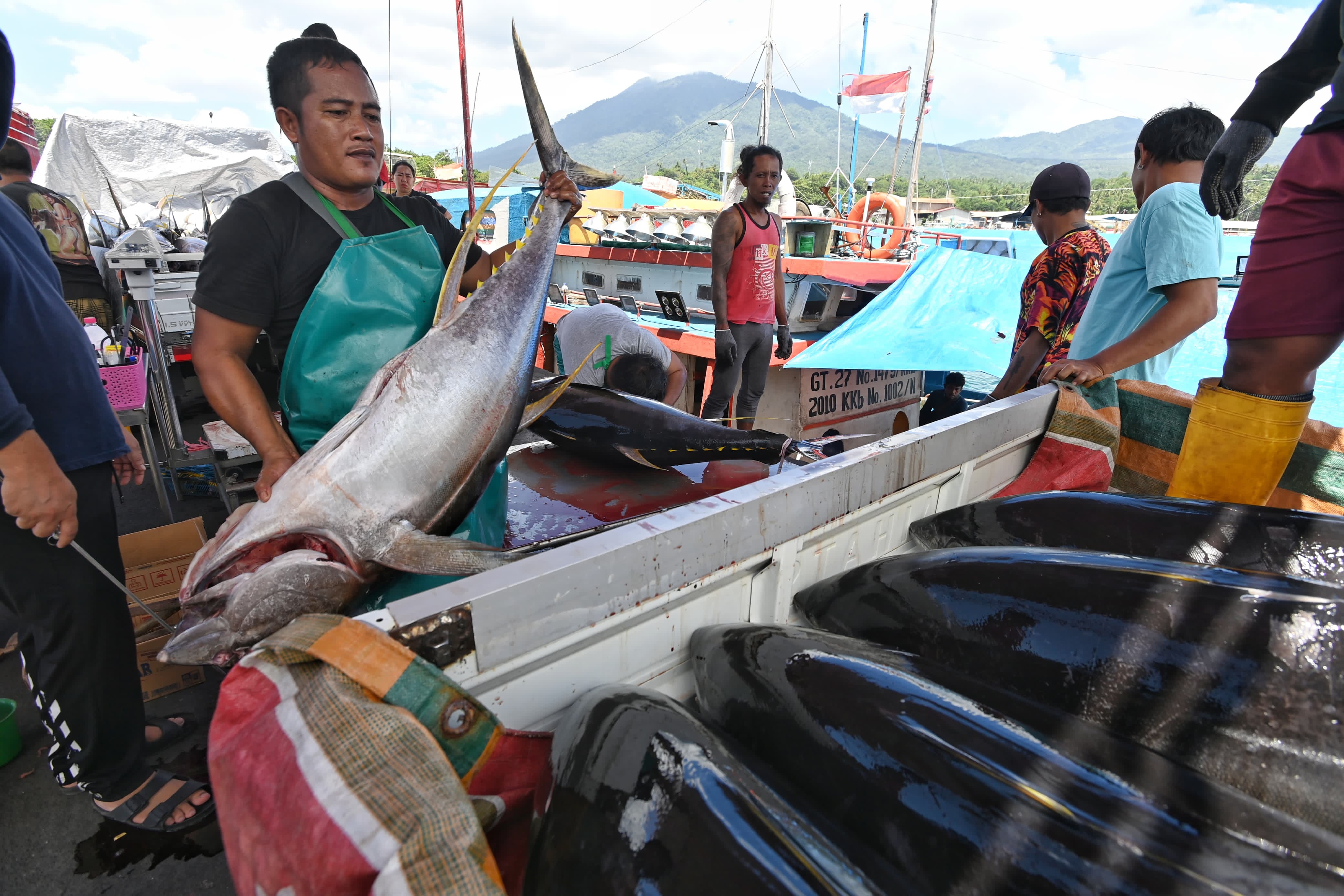 Kenaikan Harga Komoditas Pertanian, Angkat IHPB September 2025