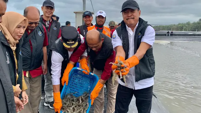 Ilustrasi Menteri Kelautan dan Perikanan (KKP) Sakti Wahyu Trenggono (kanan) melakukan Panen raya secara parsial kedua di Tambak Budidaya Udang Berbasis Kawasan (BUBK) di Kabupaten Kebumen, Provinsi Jawa Tengah. (Tira/Liputan6.com). Ekspor Udang Aman dari Kontaminasi Radiasi, Ini Jaminan Kementerian KP