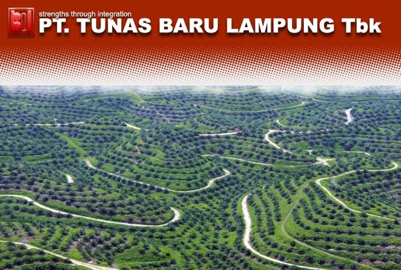 Tunas Baru Lampung (TBLA) Siap Lunasi Bunga Obligasi Rp11,55 Miliar