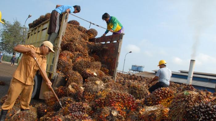 Kemenperin Mencatat, Sektor Industri Sawit Sumbang Devisa Ekspor Rp300 Triliun