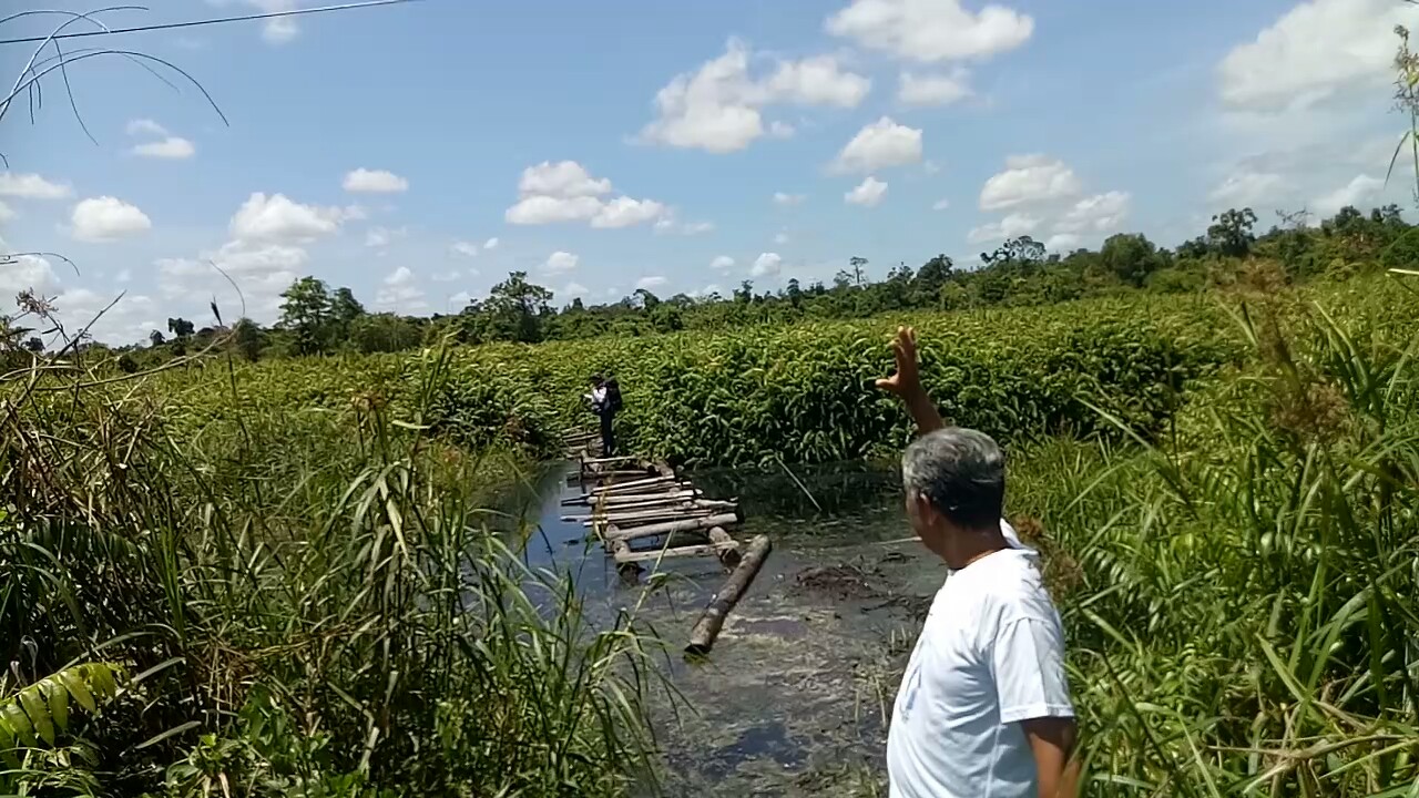 Bekerja Sama dengan SSMS, Komunitas Karya Masoraian Berangkatkan Tim Patroli Hutan