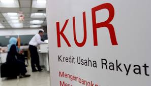 Pemerintah Tambah Subsidi KUR Rp11,9 Tiliun, Periode Januari - Desember 2022