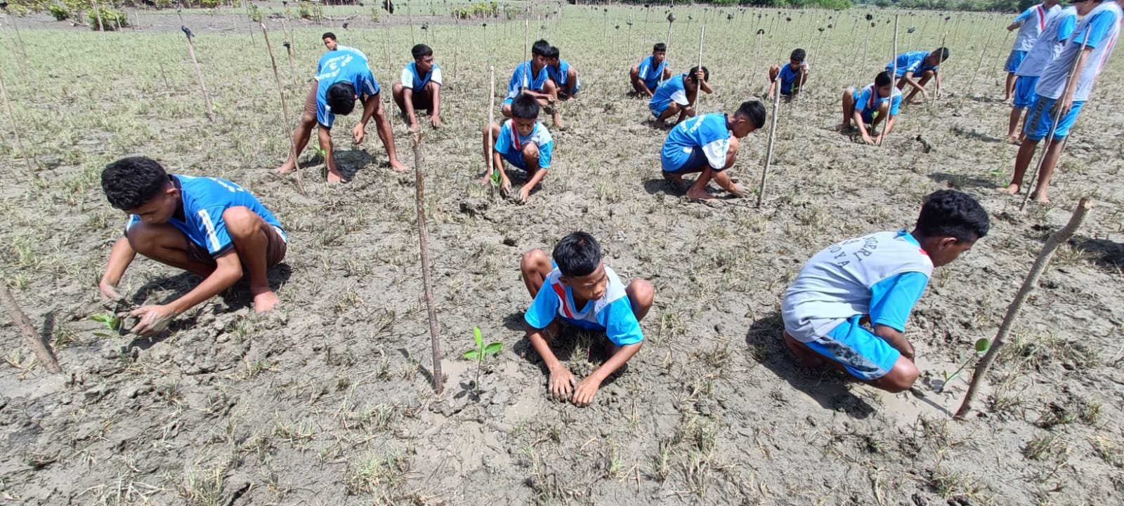 Asuransi Astra Berikan Latihan Pengelolaan Keuangan dan Risiko Kepada Pelaku UMKM di NTB