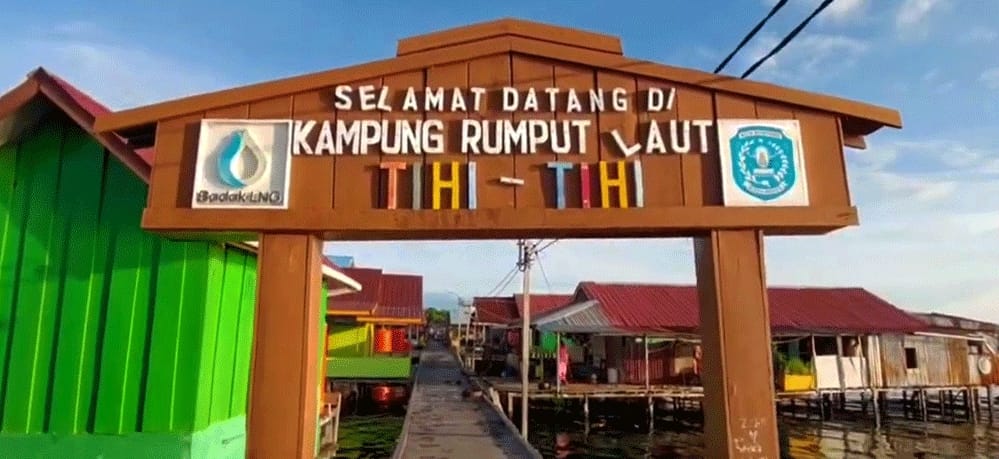 Manfaatkan Potensi Lokal, Bontang Buka Peluang Investasi Rumput Laut