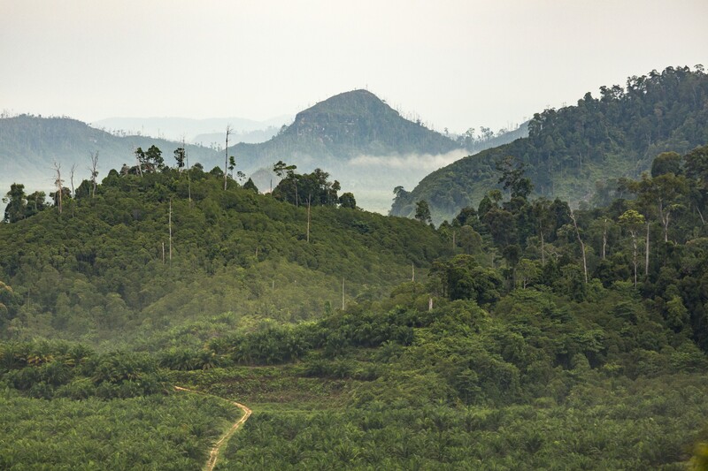 Pengurus Sumber Tani Agung kala melakukan public expose kepada media. FOTO - ISTIMEWA Surplus 55 Persen, STAA Paruh Pertama 2025 Raup Laba Rp656,72 Miliar