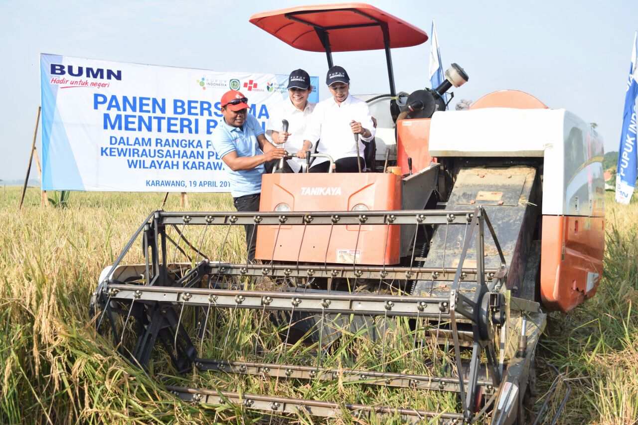 Bank Mandiri dan Pupuk Indonesia Serap Ribuan Ton Gabah Petani di Karawang