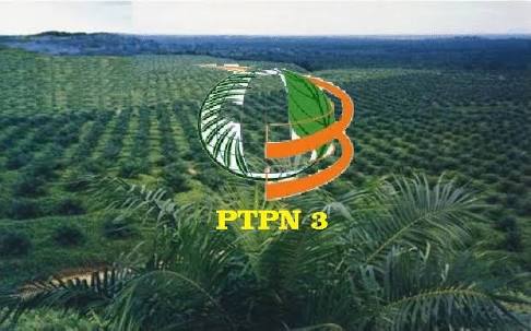 Perkuat Belanja Modal, PTPN III Terbitkan Obligasi Rp 5 Triliun