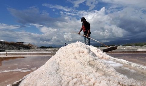 Industri Garam Perbesar Serapan Garam Lokal