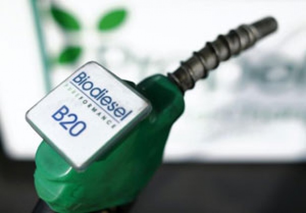 Pemerintah Dorong Penggunaan Biodiesel