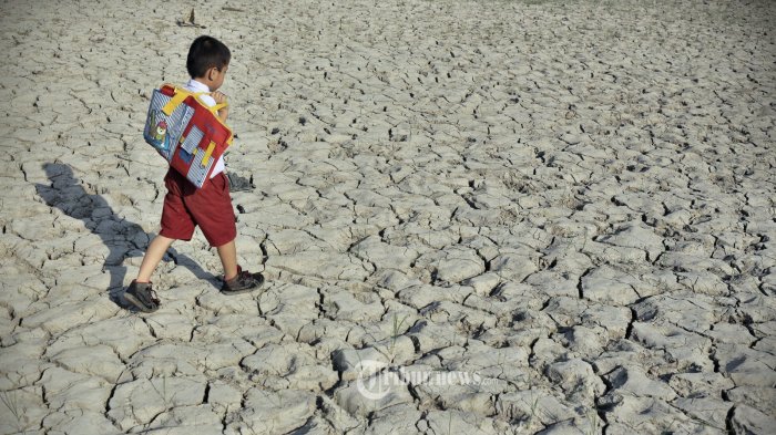 Pemerintah Khawatir Kemarau Panjang Berpengaruh pada Pasokan Komoditas Pangan