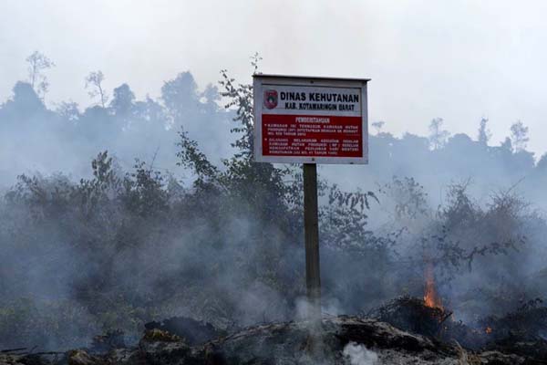 Ini Perusahaan Pemilik Izin Konsesi yang Terlibat Kebakaran Hutan dan Lahan Terbanyak di Kalbar