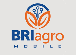 Tingkatkan Market Share, BRI Agroniaga (AGRO) Gandeng BRI Life