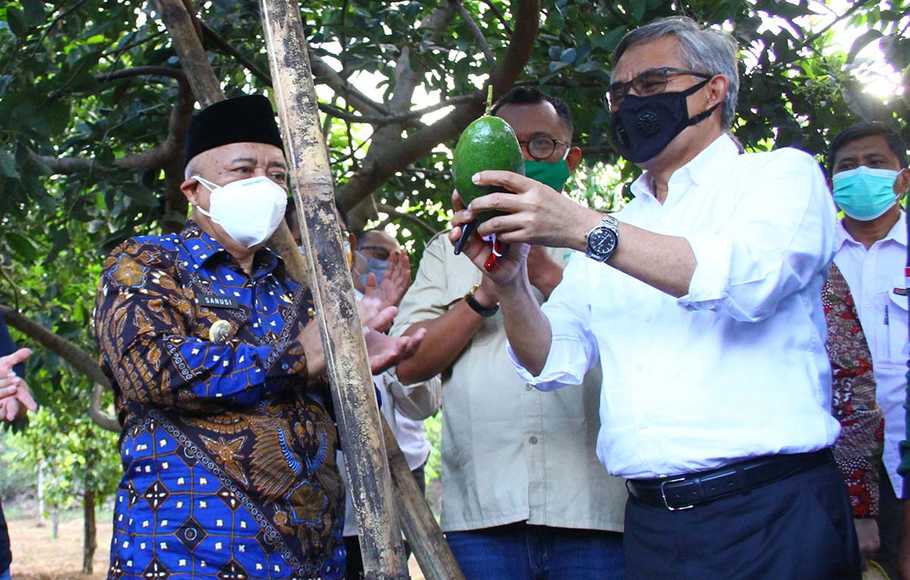 OJK dan IJK Bentuk Ekosistem KUR Klaster Pertanian dan Peternakan di Gorontalo