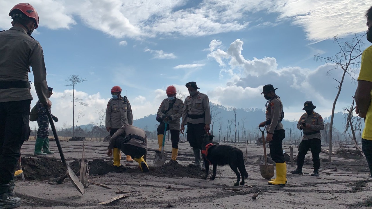 Erupsi Gunung Semeru, Korban Meninggal jadi 50 Jiwa