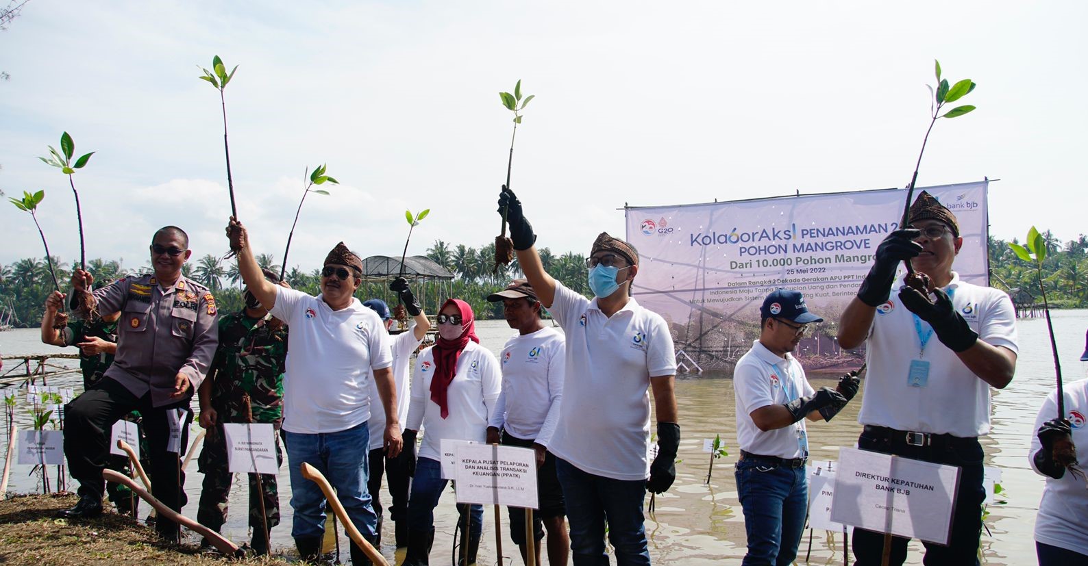 Tanam 2061 Mangrove, bank bjb Dukung Indonesia Tanpa Pencucian Uang dan Pendanaan Teroris