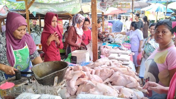 Ditinggal Malaysia, Singapura Krisis Daging Ayam, Ini yang Dilakukan Indonesia