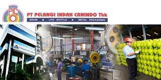 Pelangi Indah Canindo (PICO) Catat Pendapatan Rp145 Miliar per Maret 2022
