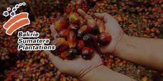 UNSP Menggembirakan! Bakrie Sumatera Plantations (UNSP) Raih Penjualan Rp1,19 Triliun