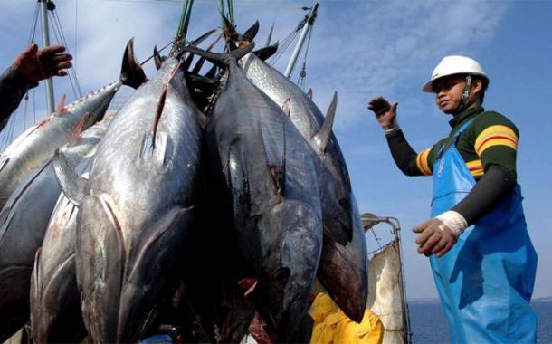 PMMP Ekspor Perikanan Indonesia Januari-Mei 2022 Capai USD2,26 miliar, Naik 15,04 Persen