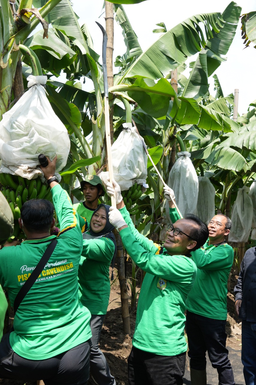 Pemerintah Kembangkan Komoditas Hortikultura Berorientasi Ekspor