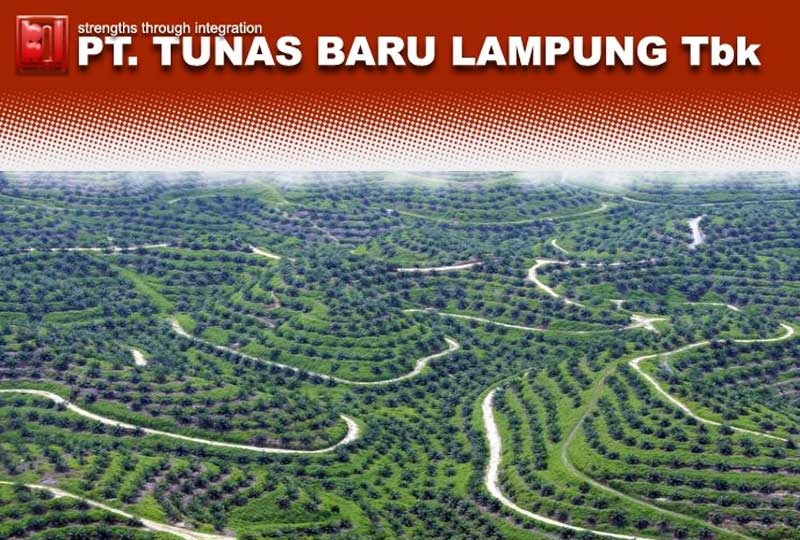 Tunas Baru Lampung (TBLA) Patok Right Issue Rp600 per Saham, Rasio 7:1, Ini Jadwalnya